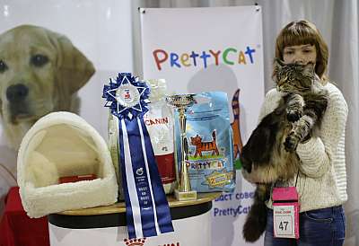   '--' 22-23  2014 4_47-169A9595 copy.jpg